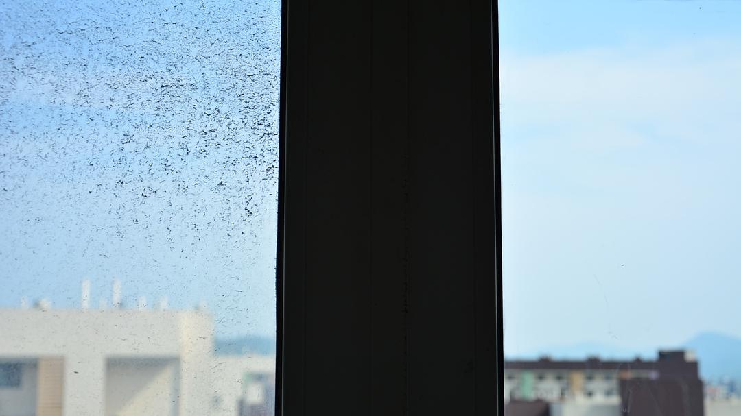 租房党提升幸福感,租房新住搞卫生需要什么工具