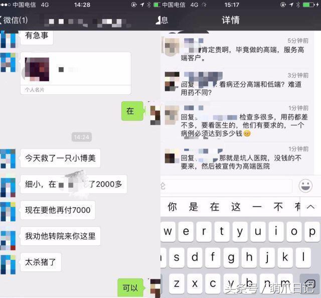 去宠物医院看病为什么这么贵,一般的宠物医院看病贵吗