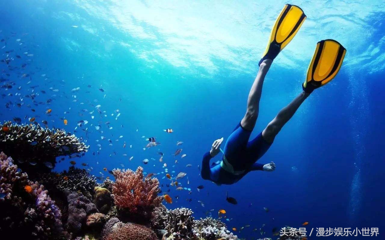 美娜多有什么故事,美娜多惊艳的照片