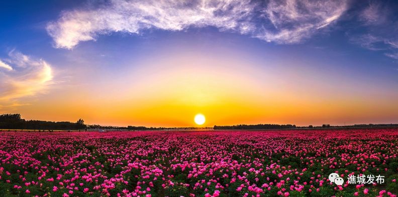 谯城区最美乡村,谯城区美丽乡村图集