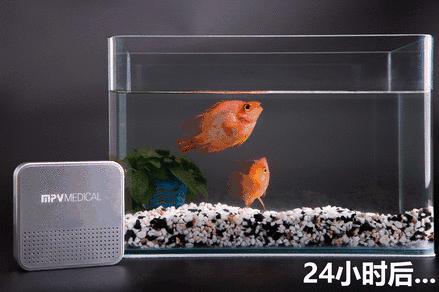 甲醛释放期限15年怎么装修,甲醛释放周期达3到15年怎么办