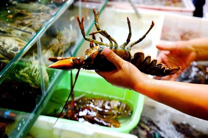 三亚自由行美食相伴攻略,三亚三日游美食