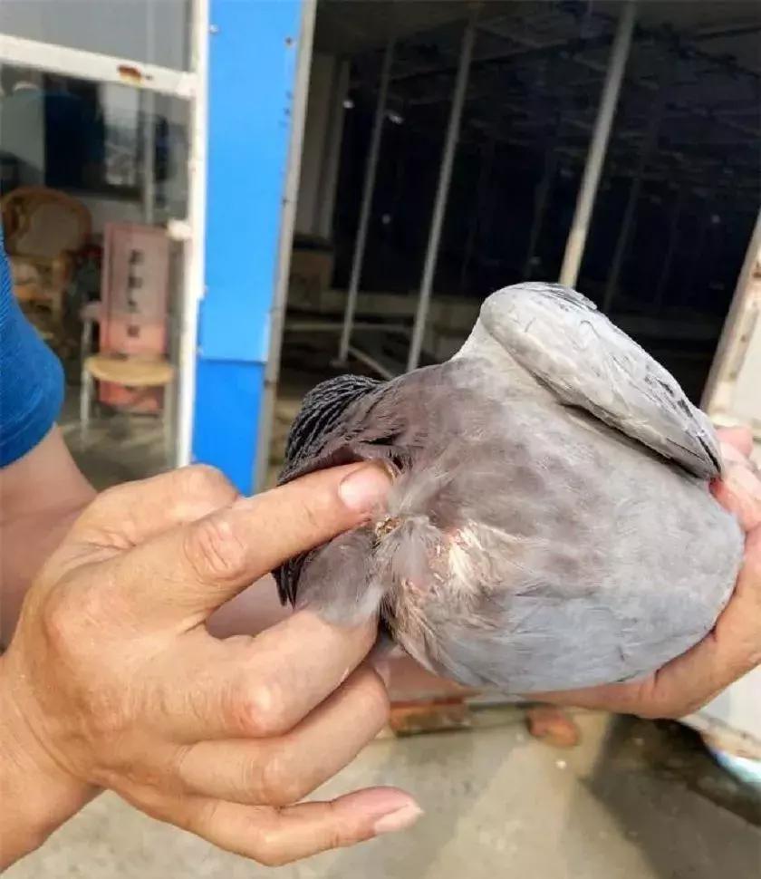 不死必归，一组带伤归来的英雄们！「图」