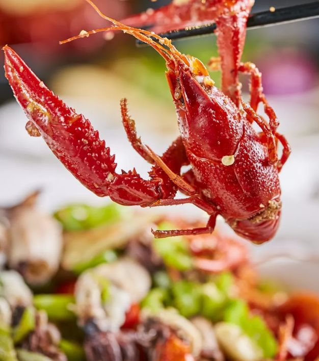 藏在老住宅区里的一家小店,藏在上海市井里的宝藏小店