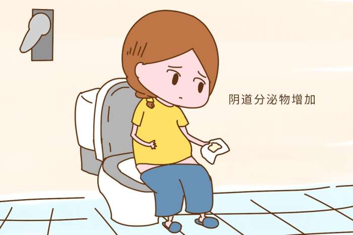 孕后期要卸货的征兆,怀孕后发现耻骨突出