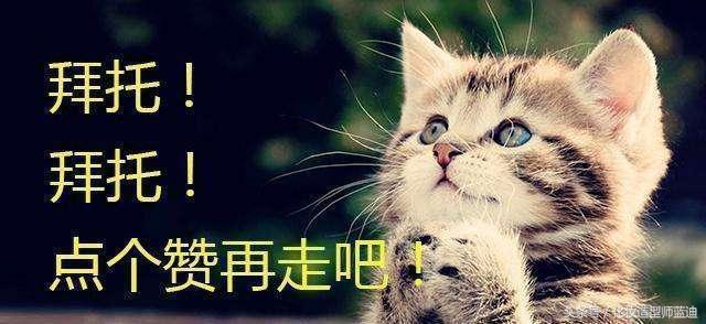 饥肠辘辘猜一生肖,饥肠辘辘猜生肖