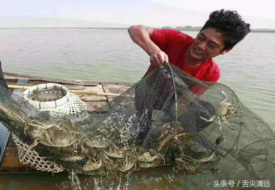 清远吃大闸蟹哪个店好,清远吃货攻略