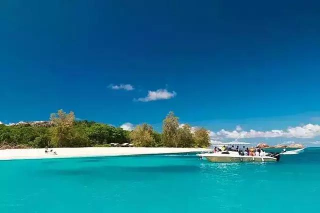 中国锦鲤旅游攻略,中国锦鲤出发环游世界