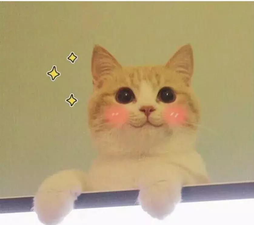 秋冬身体乳有哪些,女生冬季身体乳推荐红黑榜