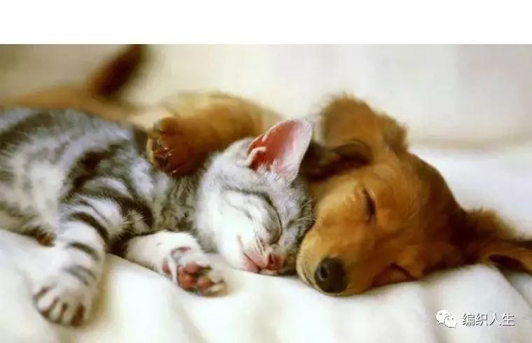 静电去毛神器,比粘毛器好用的除毛器