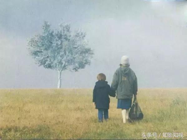 十大文艺电影排行榜,十部文艺的经典电影