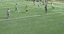 伊布和中国球员,中国伊布新疆