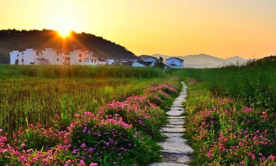 雨游汉口,雨游武汉
