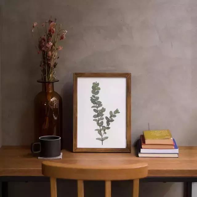 干花工艺画教程,干花做标本画