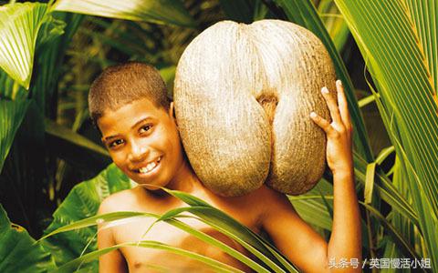 塞舌尔一场极致的海岛旅行附攻略,塞舌尔的海滩