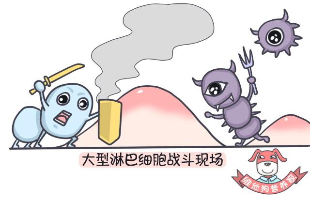 足贴减肥可信吗,足贴祛湿减肥靠谱吗