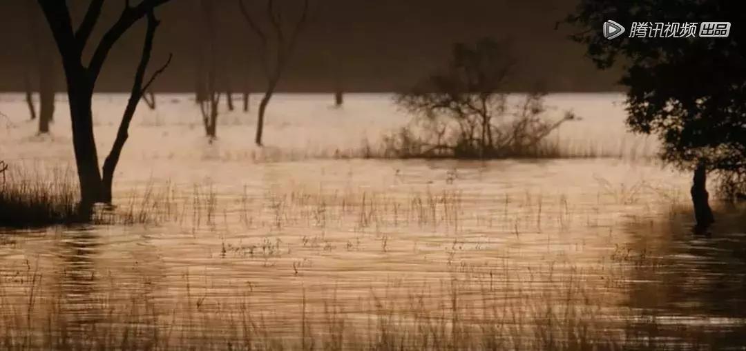 不撕吊牌衣服,不撕吊牌的衣服