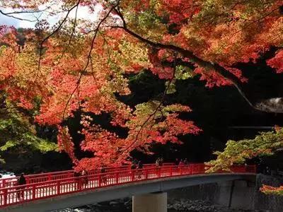 东京名古屋京都,东京大阪名古屋京都