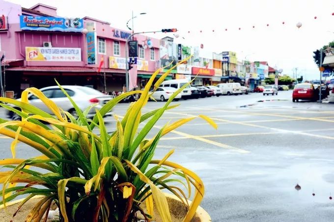 李茶的姑妈海景大别墅,李茶的姑妈在马来西亚