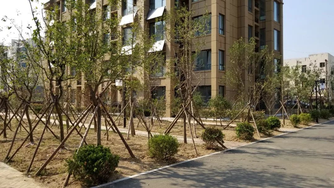 美了美了钢琴曲二胡,美了美了越南红歌