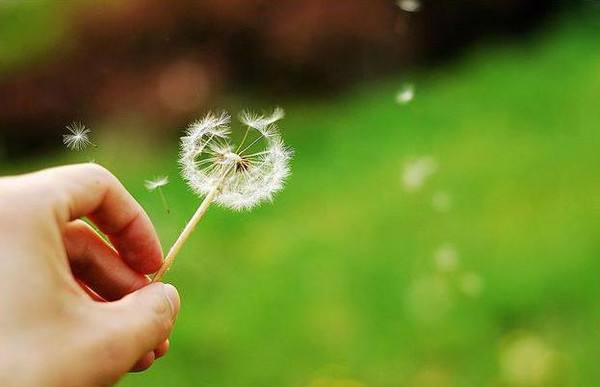 狠心离开你伤感的句子,伤感离开唯美句子短句