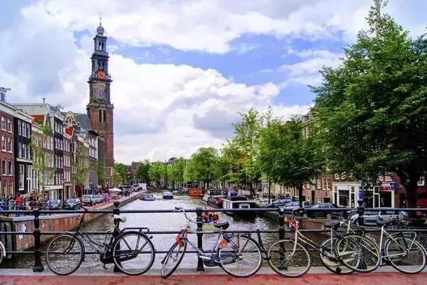 郁金香和风车在哪国,郁金香风车在哪个国家