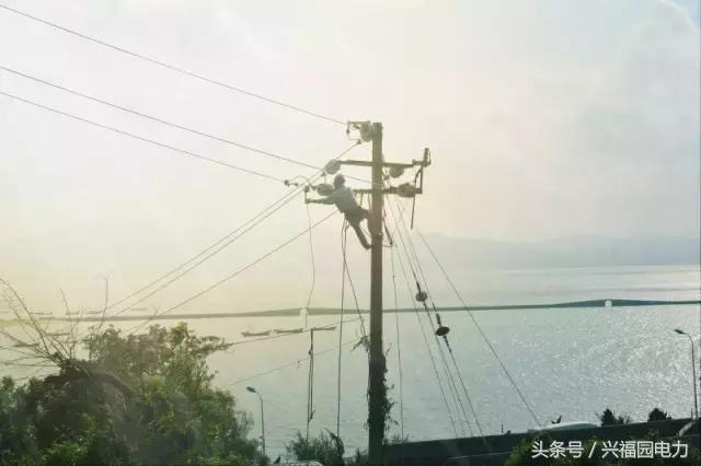 电网爬电线杆,爬电线杆