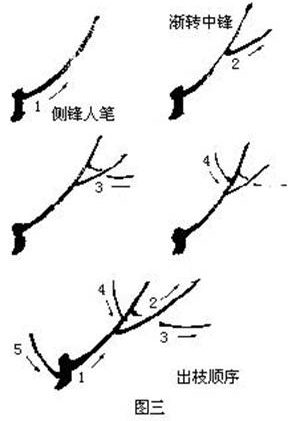 国画基础梅花的几种画法,徐湛国画梅花的画法视频