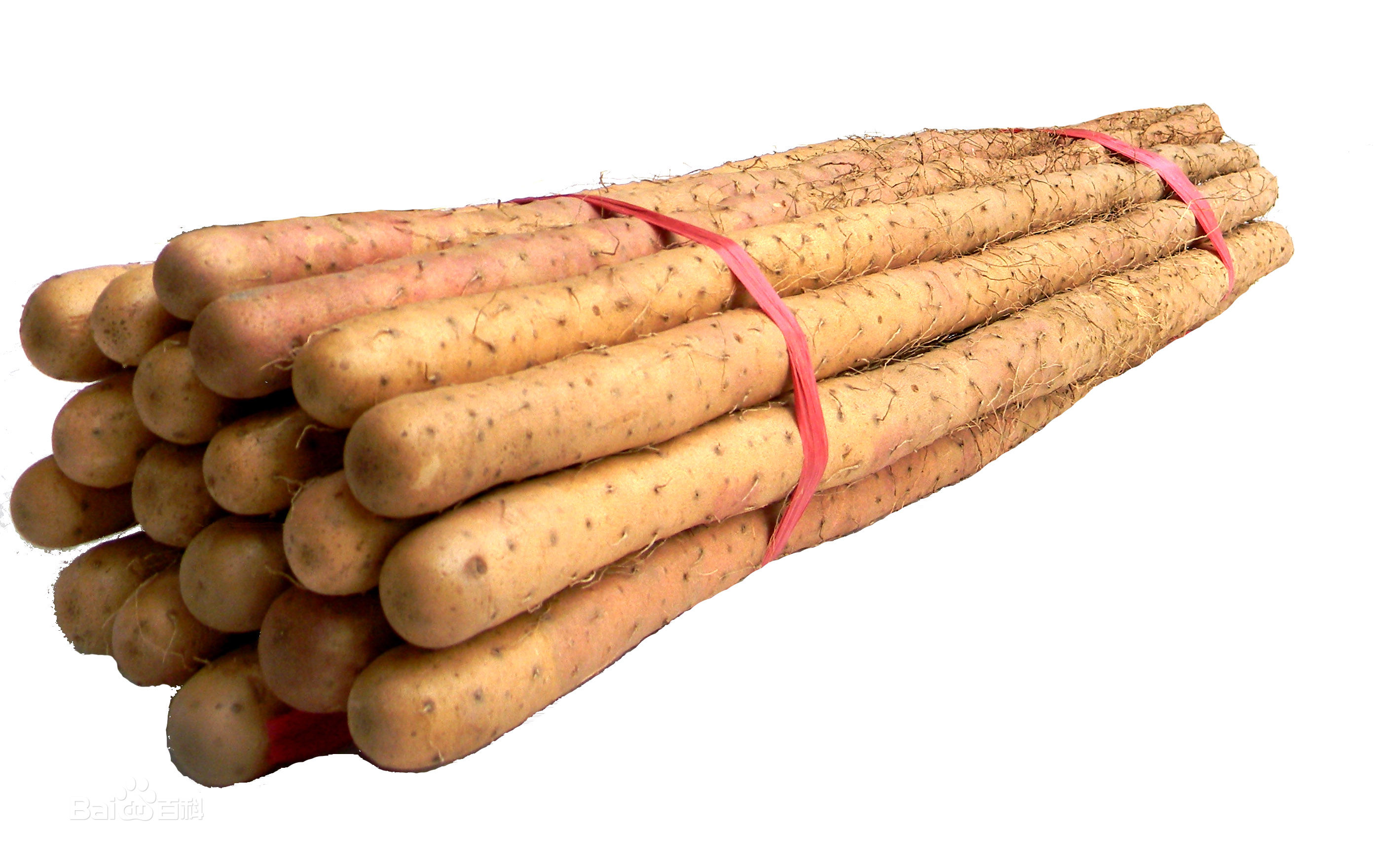 焦作怀山药四大怀药,四大怀药怀山药图片