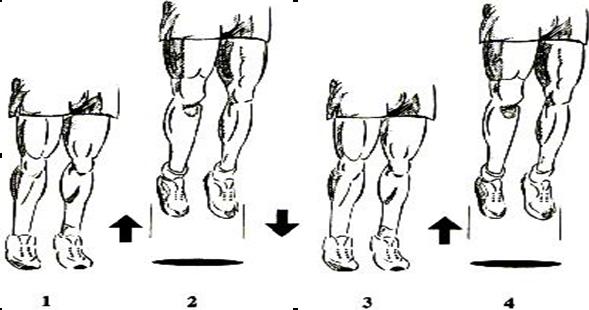 灌篮教学100个技巧,灌篮技巧脚步