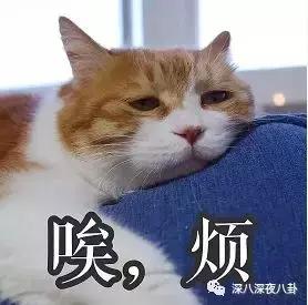 鍐峰喎vs鍢夊畞,鍐峰喎鍜岃皝鏄痗p