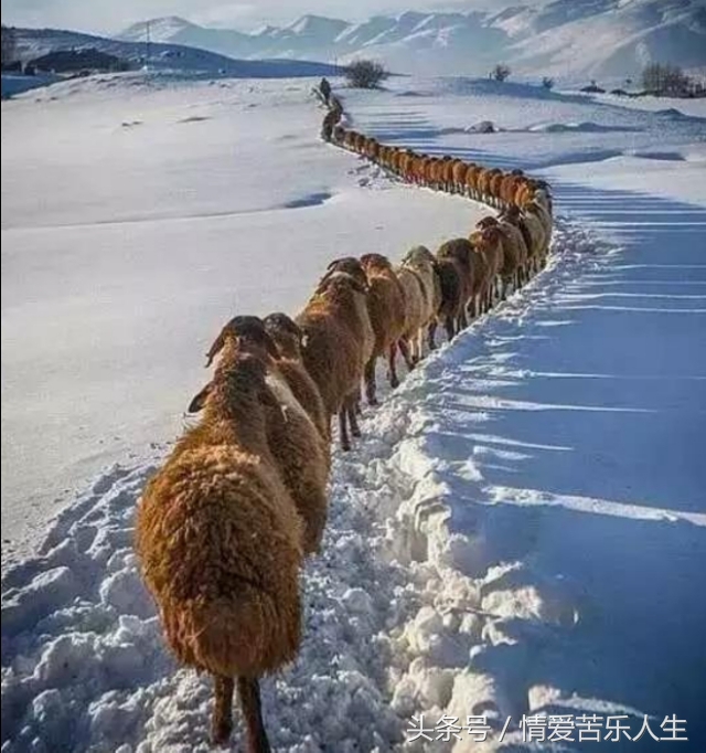 兄弟不要问我过得好不好,不要问我过得好不好原唱