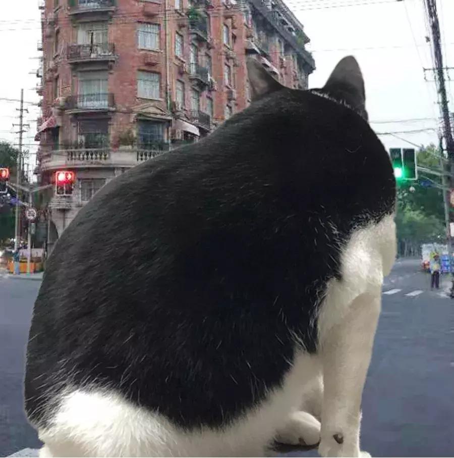 低卡减脂餐1个月瘦30斤,低卡零食瘦25斤