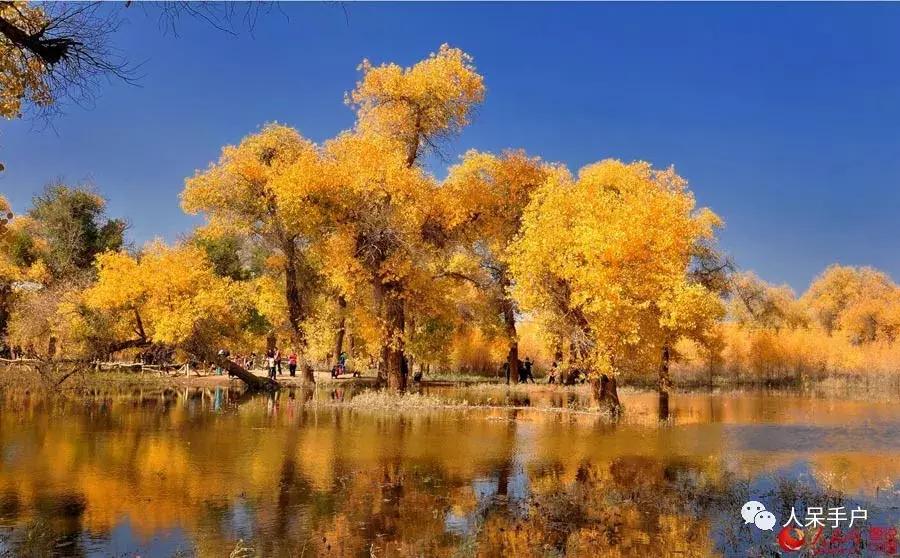秋天到底是什么颜色的呢,秋天和秋雨是一种什么样的颜色
