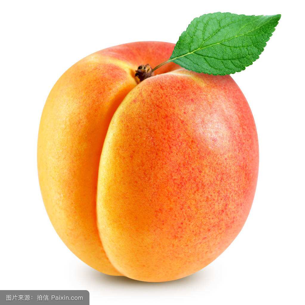 中药材梅杏,中药材杏仁加工