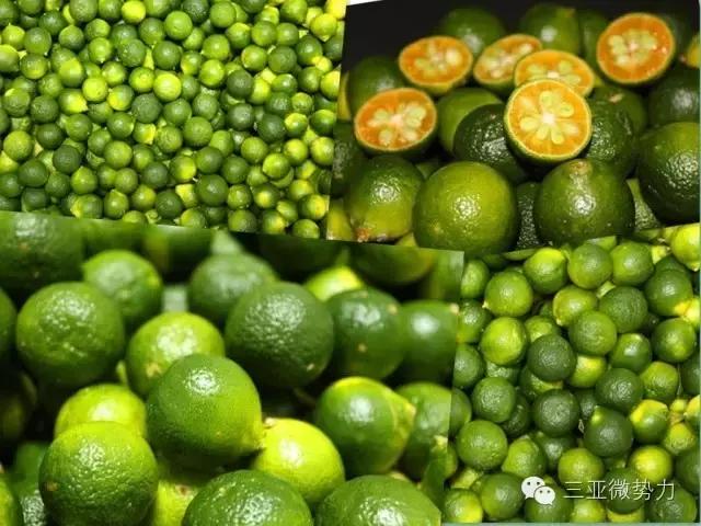 海南人最喜欢吃的食物,海南人吃最多的是什么