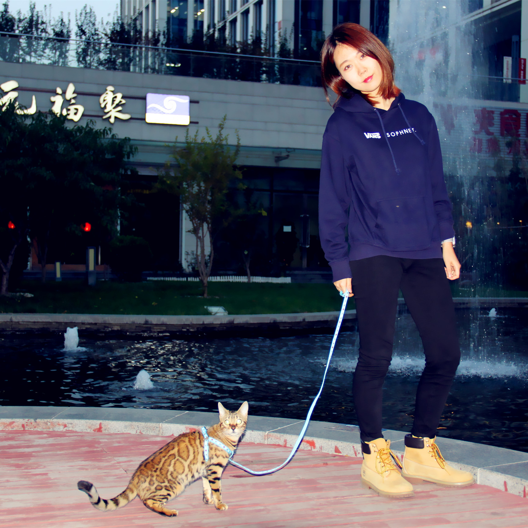 别总说你家猫不亲人，你敢晒晒怎么养猫的吗？