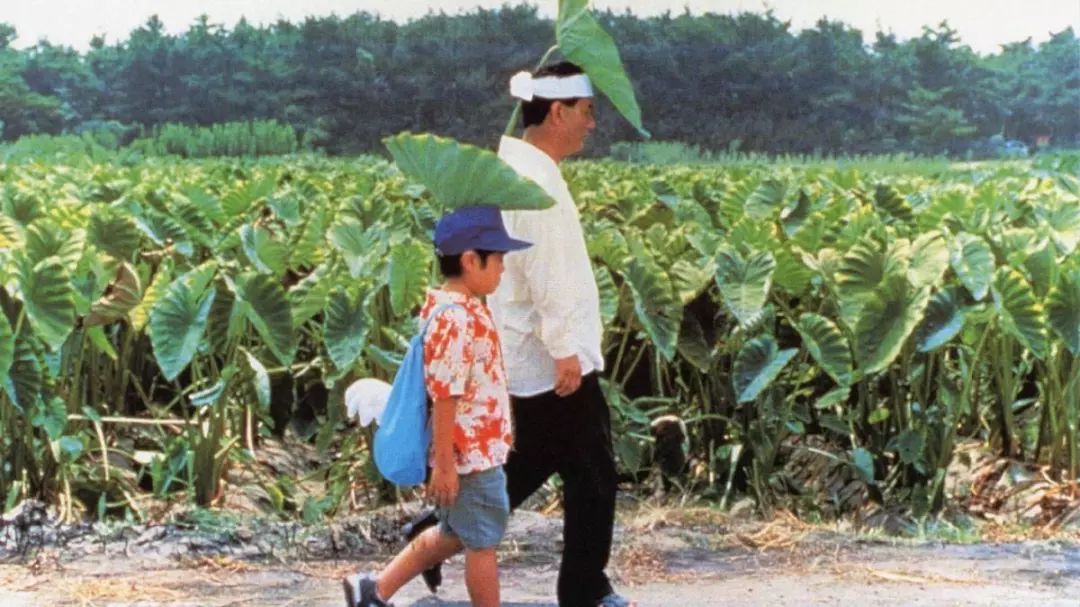 日本诺奖的秘密,日本获得过什么诺奖