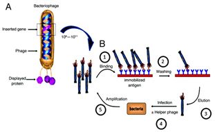 诺奖技术,诺奖医学解读
