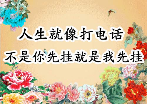 会动的图片21张太美了,会动的风景图片大全