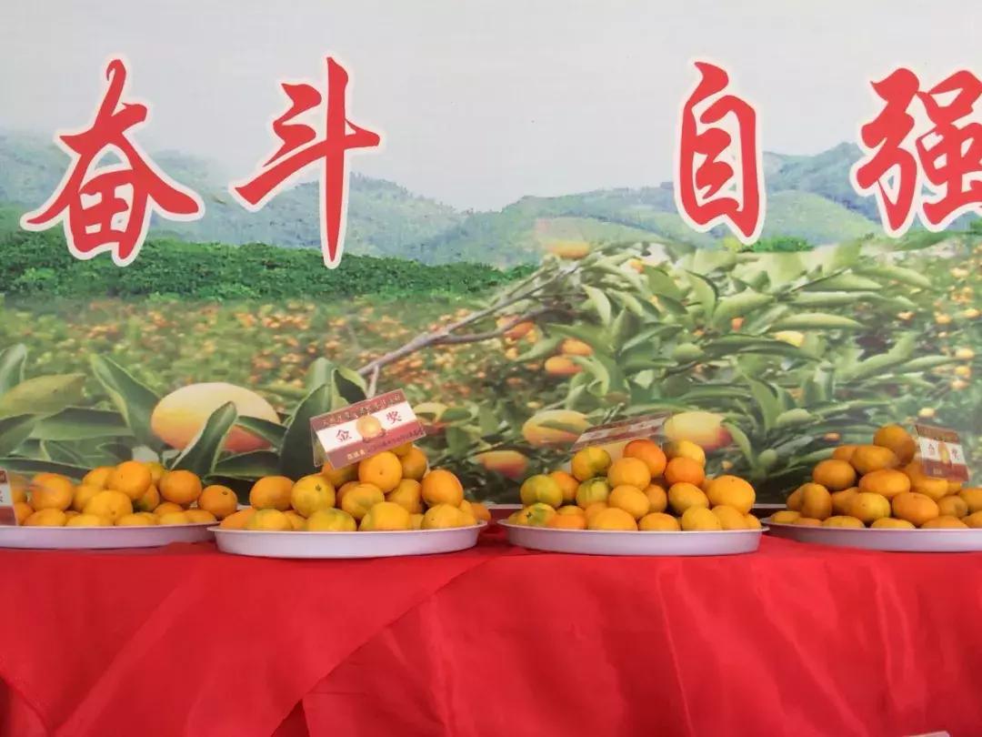 这一口甜蜜，让几百个三明人恋爱了