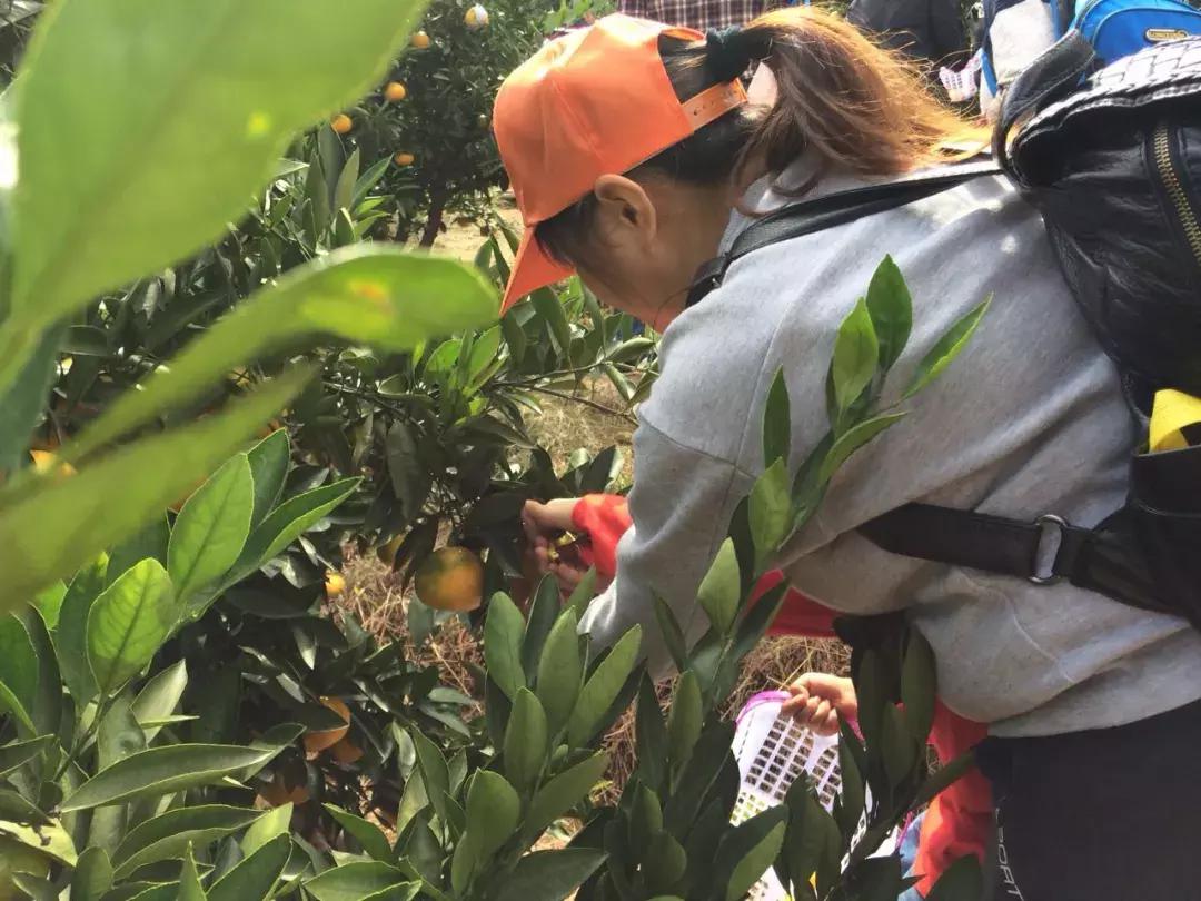 这一口甜蜜，让几百个三明人恋爱了