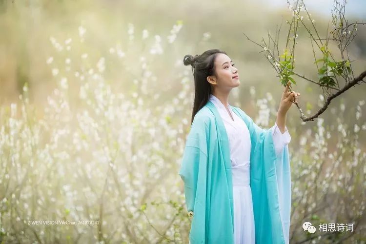 飃霗诗词|懒问曾经记起无,曾经记起又何如