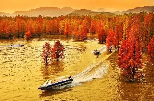 不要去杭州,杭州西湖值得去的地方