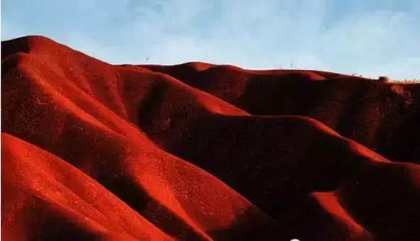 秋在广东很珍贵，若不细心寻找，它便静静地离开了