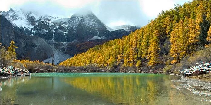 往后余生，我想和你有个家，就在稻城亚丁！