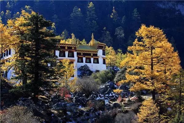 往后余生，我想和你有个家，就在稻城亚丁！