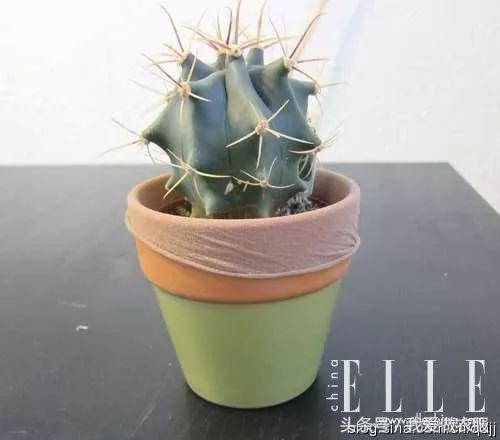 袜子废丝回收,旧长丝袜怎么废物利用