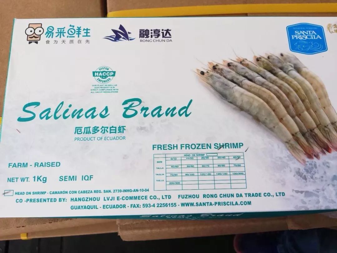 预告｜易采鲜生即将亮相青岛渔博会，招募全国运营商！