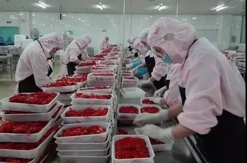 预告｜易采鲜生即将亮相青岛渔博会，招募全国运营商！